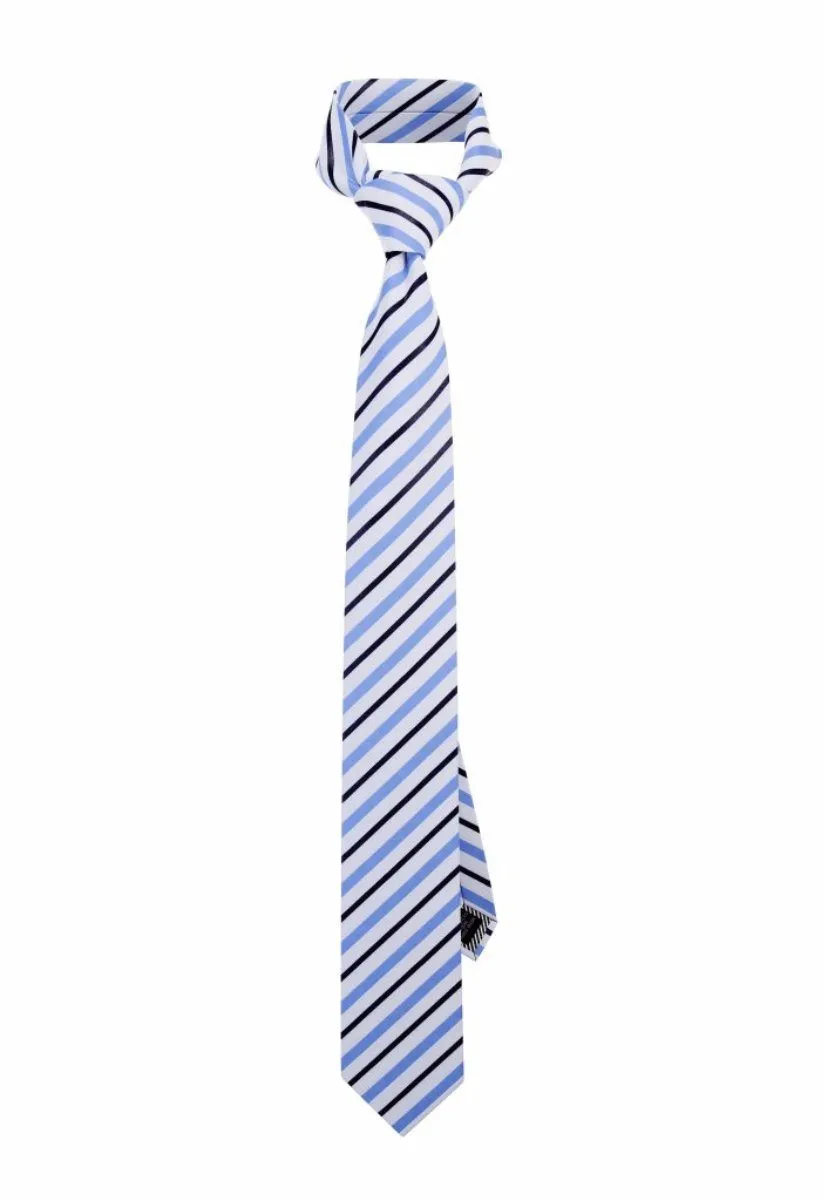 Classic Blue Striped Tie