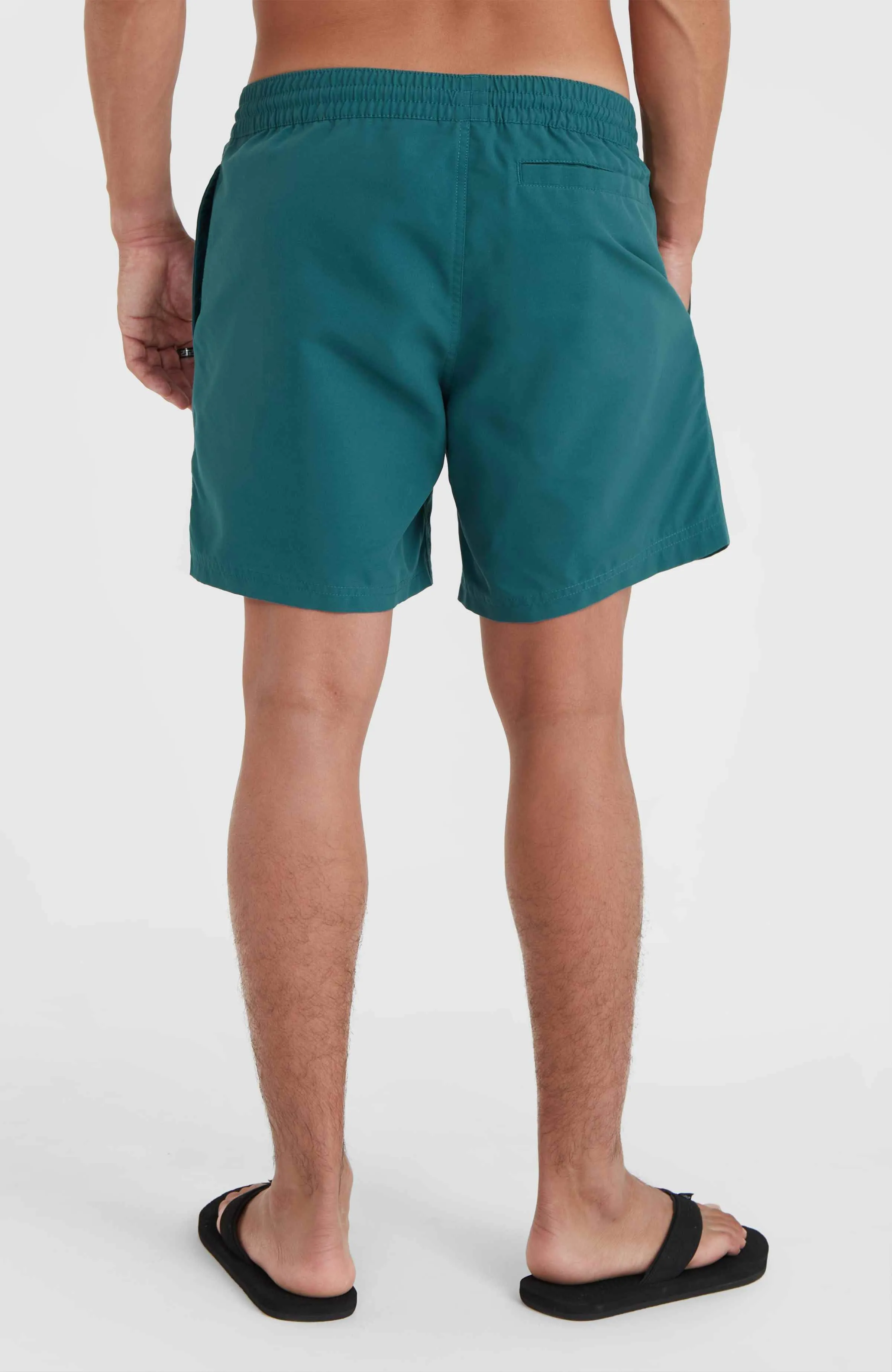 Original Cali 16'' Swim Shorts | Beetle Juice
